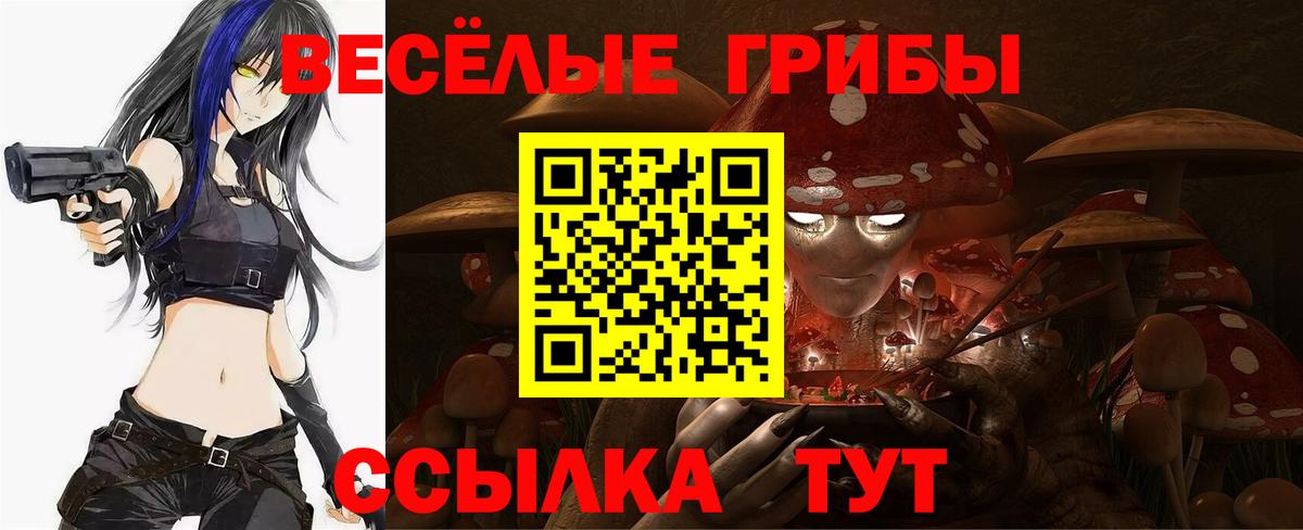 Псилоцибиновые грибы мухоморы Бугуруслан